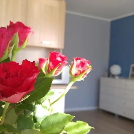 Studio Na Granicy Gdanska I Sopotu